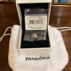 Pandora Me Feather Charm